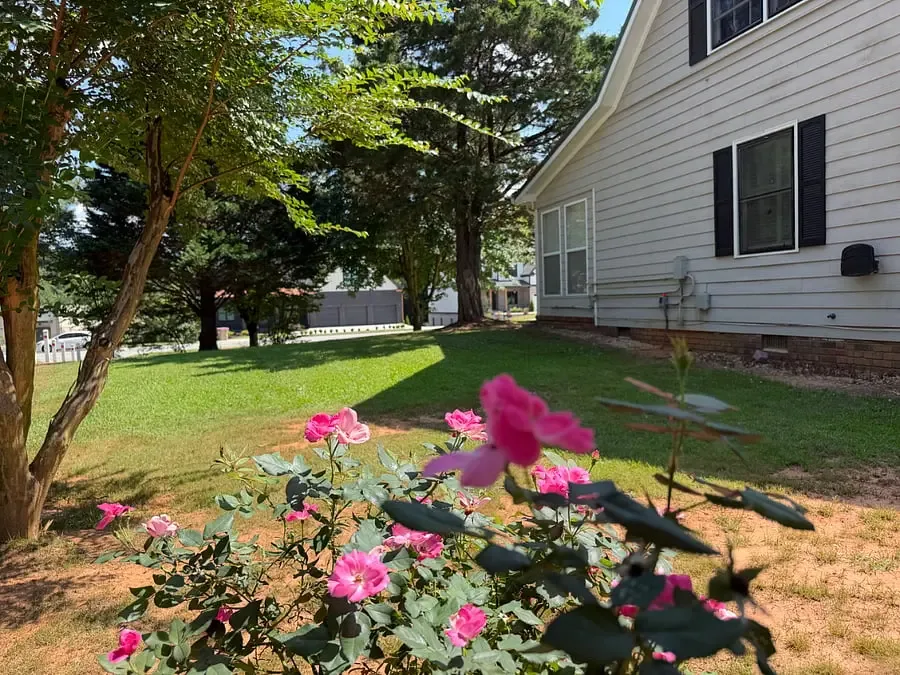 Landscaped side yard